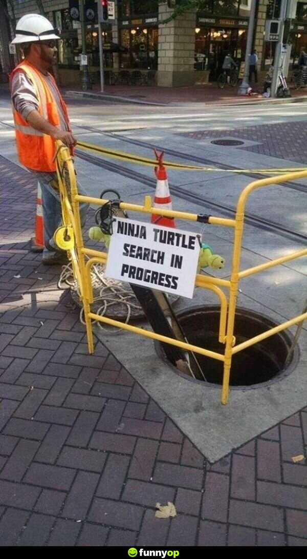 SIGN: Ninja Turtle search in progress.