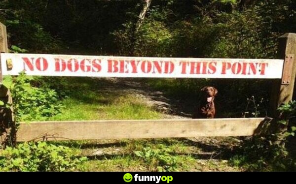 SIGN: No dogs beyond this point DOG: