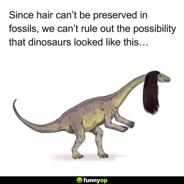 Since hair can't be preserved in fossils, we can't rule out the possibility that dinosaurs looked like this...