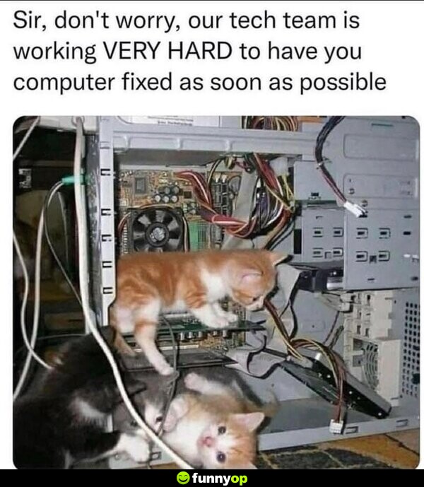 Sir, don't worry, our tech team is working VERY HARD to have your computer fixed as soon as possible.