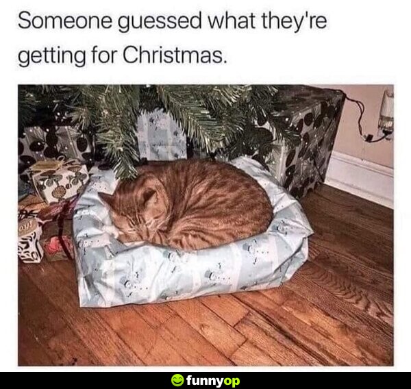 Someone guessed what they're getting for Christmas