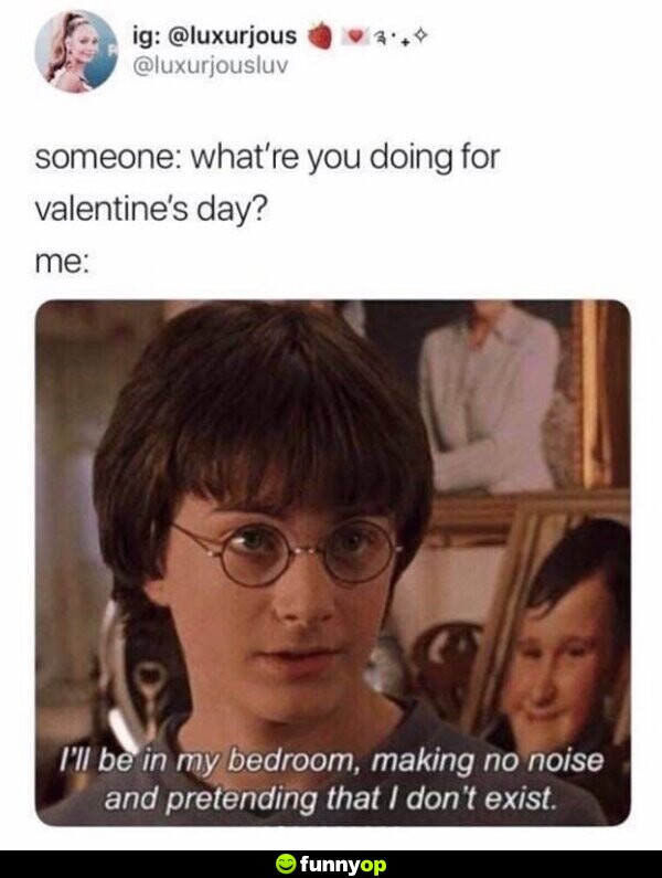 Someone: What're you doing for Valentine's Day? Me: I'll be in my bedroom, making no noise and pretending that I don't exist.