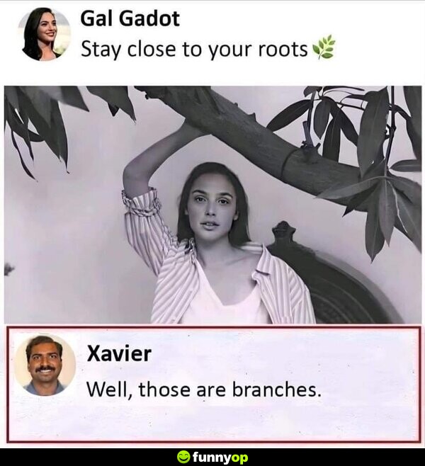 Stay close to your roots. Well, those are brances.
