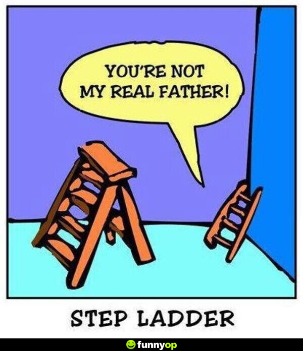 Step ladder you're not my real father.