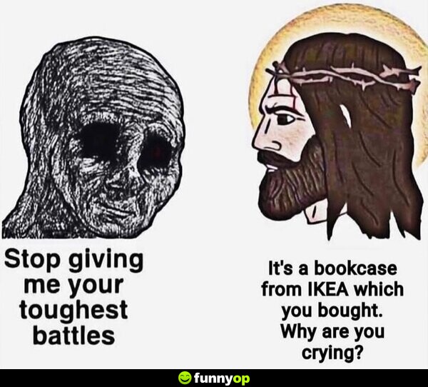 Stop giving me your toughest battles It's a bookcase from IKEA which you bought. Why are you crying?