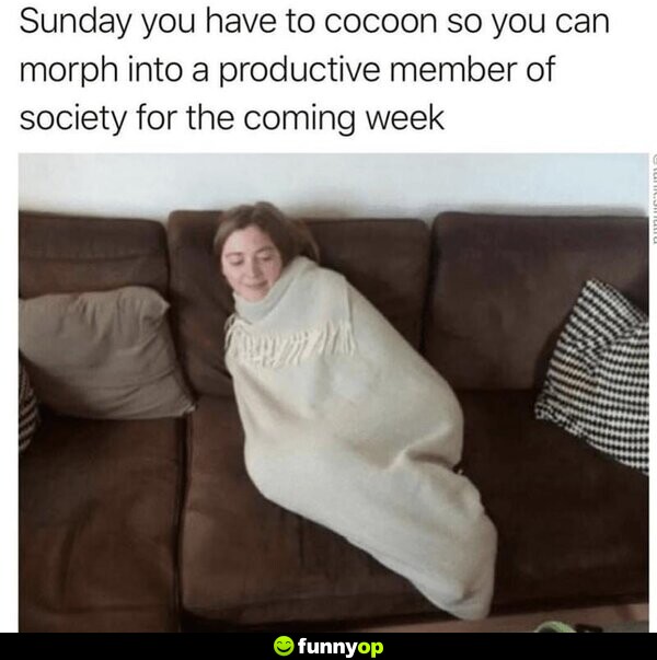 Sunday you have to cocoon so you can morph into a productive member of society for the coming week.