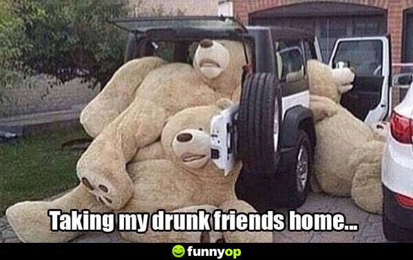 Taking my drunk friends home.