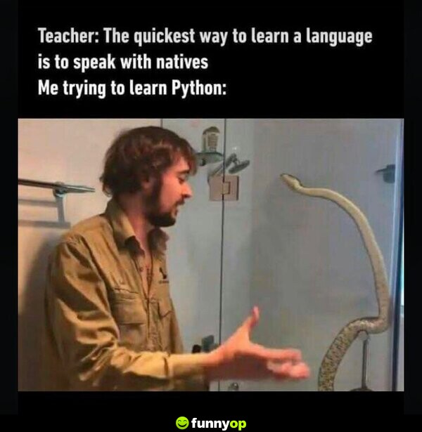 Teacher: The quickest way to learn a language is to speak with natives Me trying to learn Python: