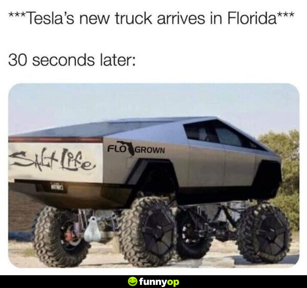 Tesla's new truck arrives in florida 30 seconds later.