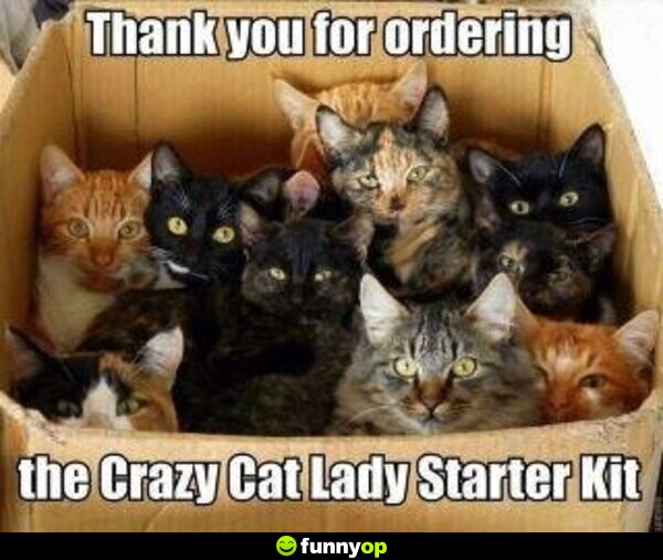 Thank you for ordering the Crazy Cat Lady Starter Kit.
