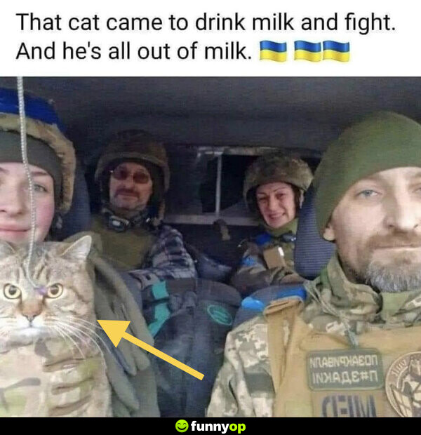 That cat came to drink milk and fight and he's all out of milk.