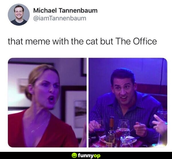That meme with the cat but The Office