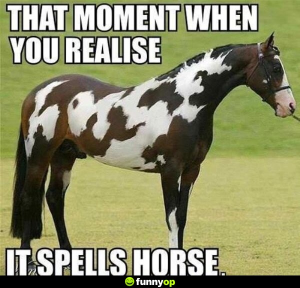 That moment when you realise it spells horse.
