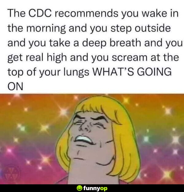 The CDC recommends you wake in the morning and you step outside and you take a deep breath and you get real high and you scream at the top of your lungs WHAT'S GOING ON