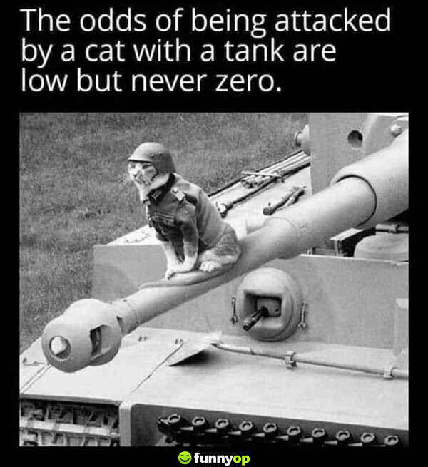 The odds of being attacked by a cat with a tank are low but never zero.