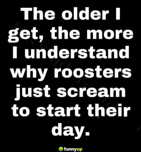 The older I get, the more I understand why roosters just scream to start their day.