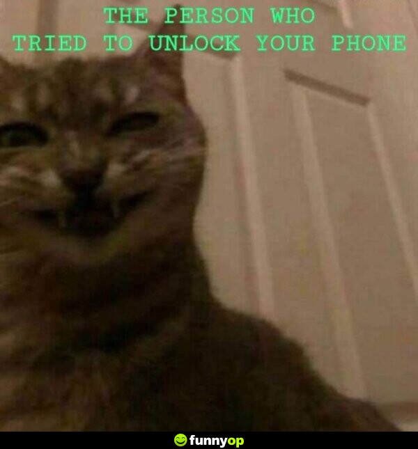 The person who tried to unlock your phone.