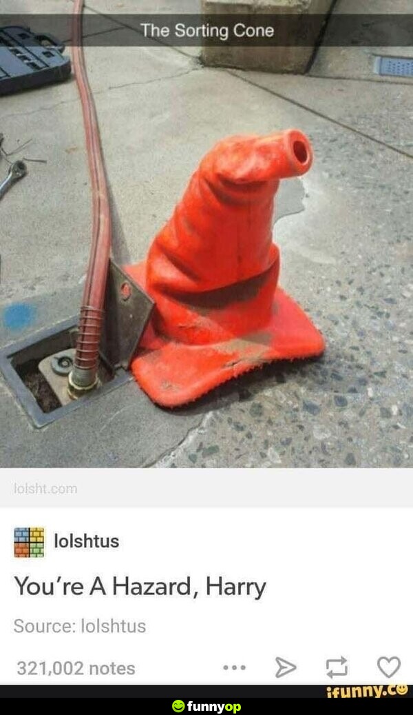 The Sorting Cone You're a hazard, Harry.