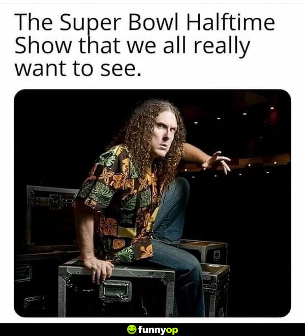 The Super Bowl Halftime Show that we all really want to see