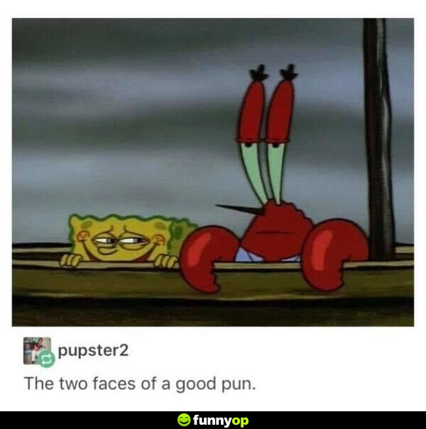 The two faces of a good pun