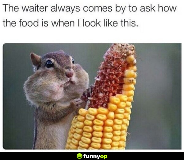 The waiter always comes by to ask how the food is when I look like this.