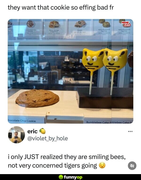 They want that cookie so effing bad forreal. I only JUST realized they are smiling bees, not very concerned tigers going