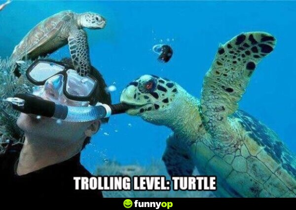 Trolling Level: Turtle