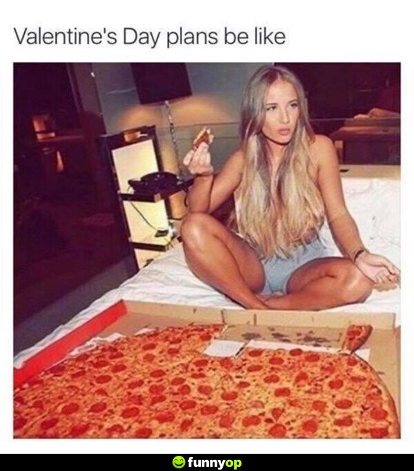 Valentine's Day plans be like