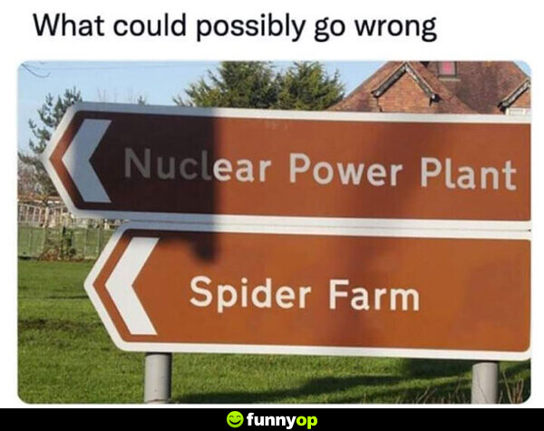 What could possibly go wrong
