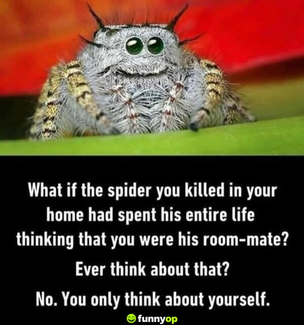What if the spider you killed in your home had spent his entire life thinking that you were his roommate? Ever think about that? no. You only think about yourself.
