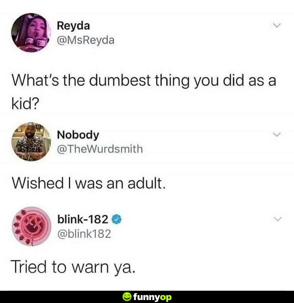 What's the dumbest thing you did as a kid? Wished I was an adult. Blink-182: Tried to warn ya.