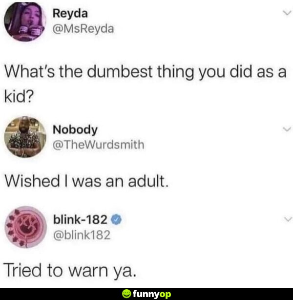 What's the dumbest thing you did as a kid? Wished I was an adult. Blink 182: Tried to warn ya.
