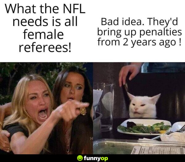 What the nfl needs is all female referees bad idea they'd bring up penalties from 2 years ago.