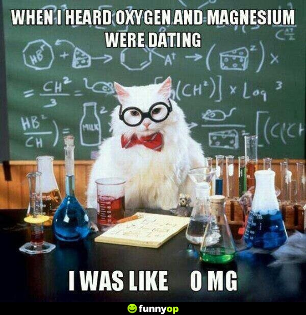 When I heard Oxygen and Magnesium were dating I was like 0 MG.