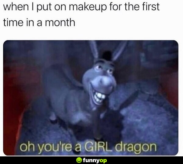 When I put on makeup for the first time in a month: Oh, you're a GIRL dragon.