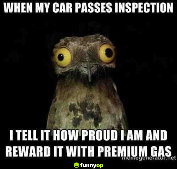 When my car passes inspection I tell it how proud I am and reward it with premium gas.