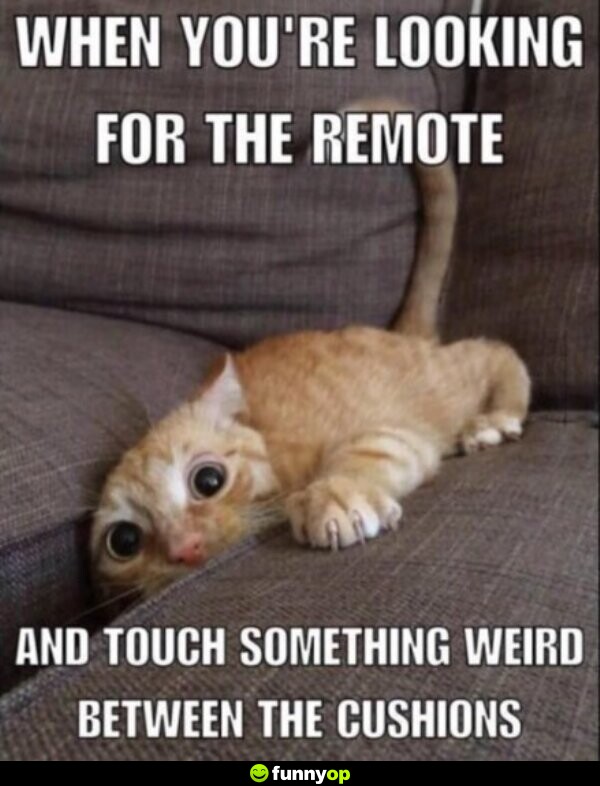 When you are looking for the remote and touch something weird between the cushions.