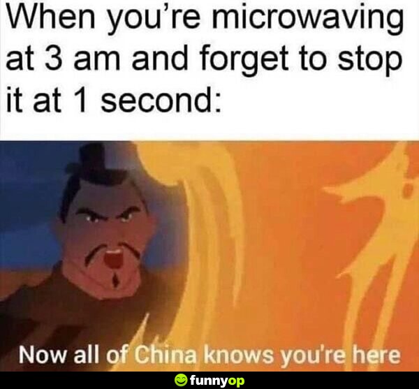 When you're microwaving at 3 am and forget to stop it at 1 second: Now all of China knows you're here.