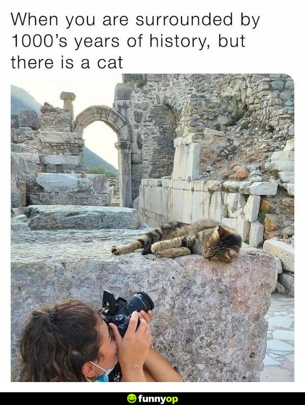 When you are surrounded by 1000's of years of history, but there is a cat.