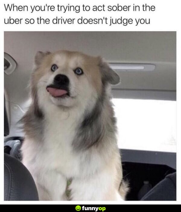 When you're trying to act sober in the uber so the driver doesn't judge you.