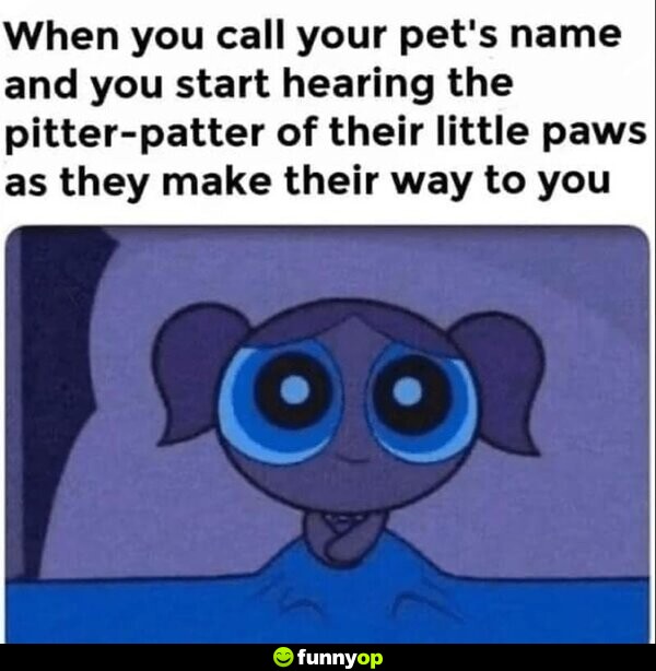 When you call your pet's name, and you start hearing their little paws as they make their way to you.