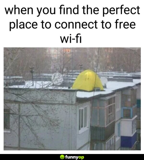 When you find the perfect place to connect to free wifi.