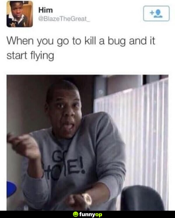 When you go to kill a bug, and it starts flying