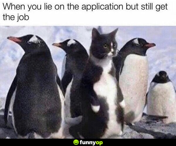 When you lie on the application but still get the job.