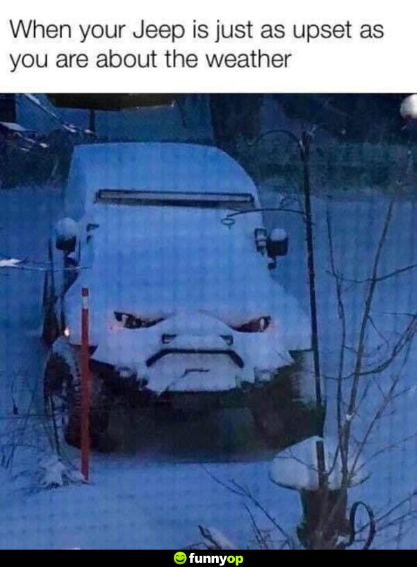 When your Jeep is just as upset as you are about the weather.
