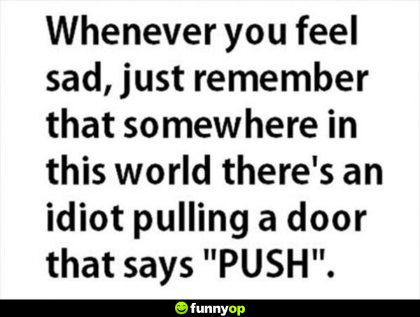 Whenever you feel sad, just remember that somewhere in the world there's an idiot pulling a door that says push.