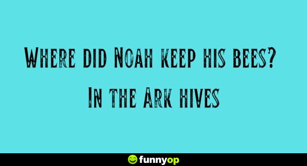 Where did noah keep his bees? in the ark hives.