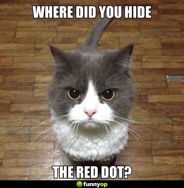 Where did you hide the red dot?