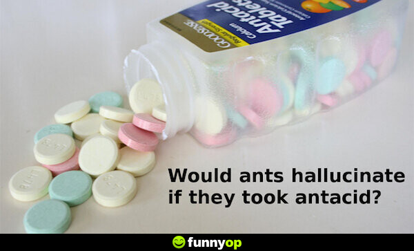 Would ants hallucinate if they took antacid?