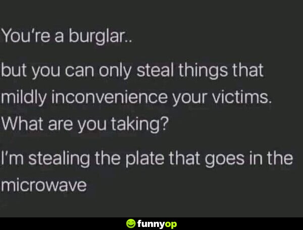 You're a burglar.. but you can only steal things that mildly inconvenience your victims. What are you taking? I'm stealing the plate that goes in the microwave.